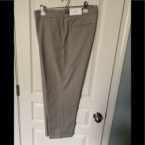 Ann Taylor Dress Pants 16